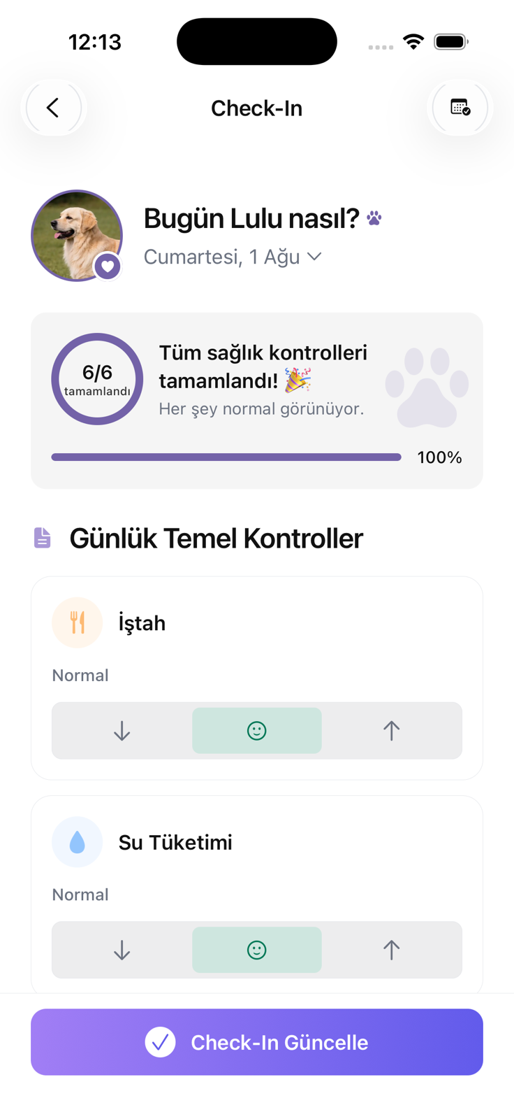 Açık mod Lulu günlük kontrol ekranı