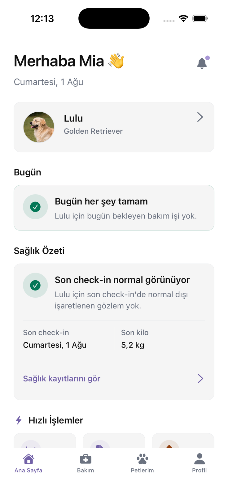 Bugünkü bakımı ve sağlık özetini gösteren açık mod Lulu ana sayfası